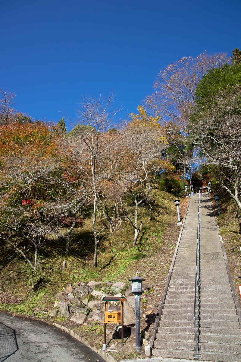 瑠璃光山薬師寺の紅葉_f0371554_19515111.jpg