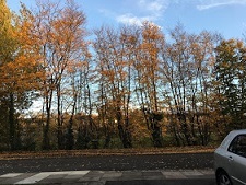 e0010856_08483192.jpg