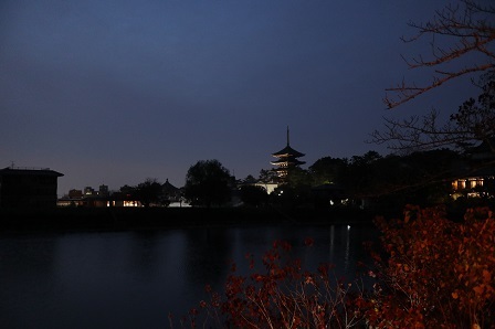 a0208560_14285776.jpg
