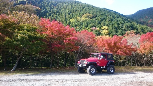 桜キッチン　んま～_a0046161_22204774.jpg