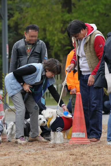 b0242873_23345897.png