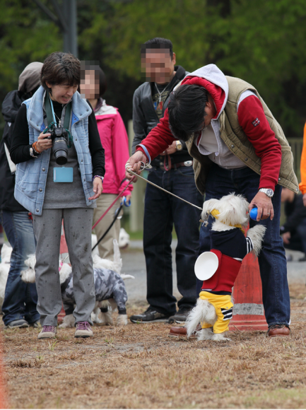 b0242873_23372200.png