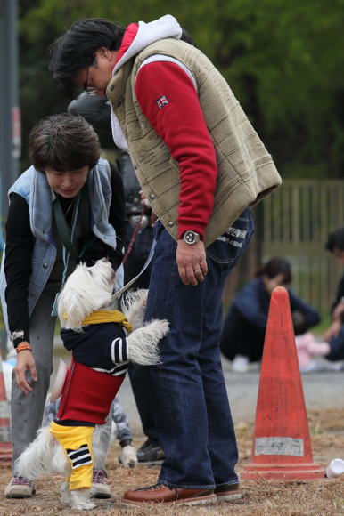 b0242873_23383692.png
