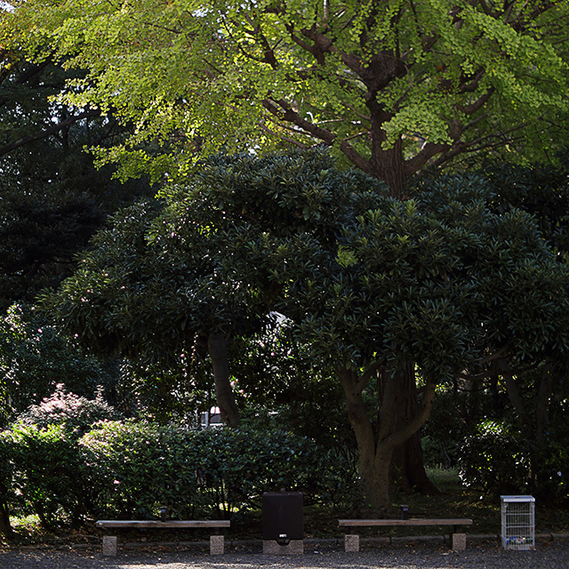 d0367875_20400951.jpg