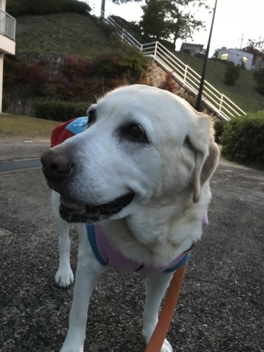 f0315081_21414036.jpeg
