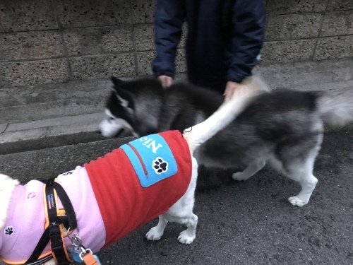 f0315081_21452659.jpeg