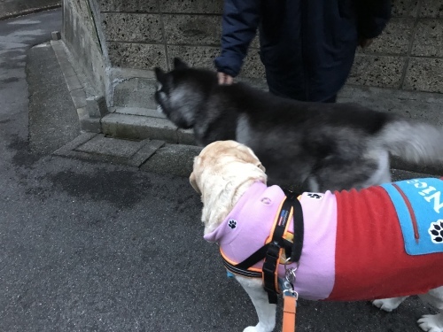f0315081_21461291.jpeg