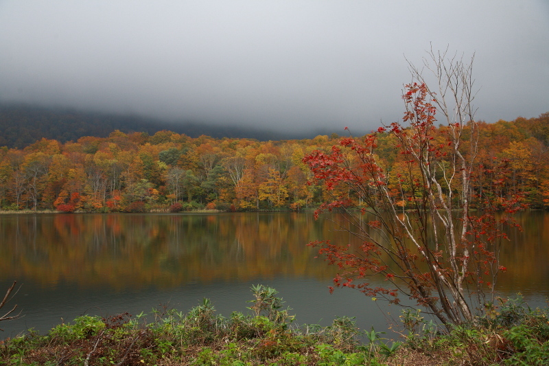 糸魚川市　蓮華白池の紅葉　後半_e0165983_10584553.jpg