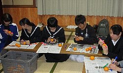f0003283_13024793.jpg