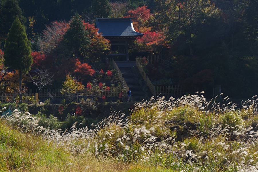 18.11.03：福岡の早い紅葉は呑山観音寺８－完_c0007190_18565136.jpg