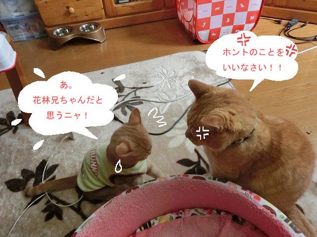 d0071596_23262201.jpg