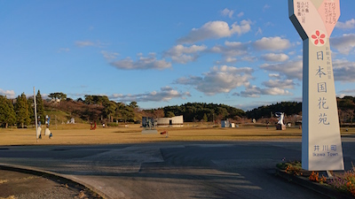 e0140496_20500643.jpg