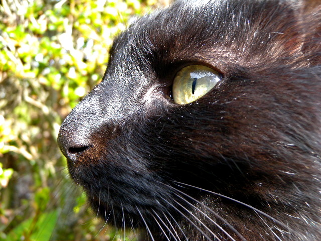 a0199297_14330917.jpg