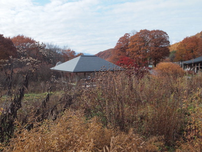 秋のガーデンに出かけよう・・・・・・・群馬 中之条山の上庭園_b0331802_10162100.jpg