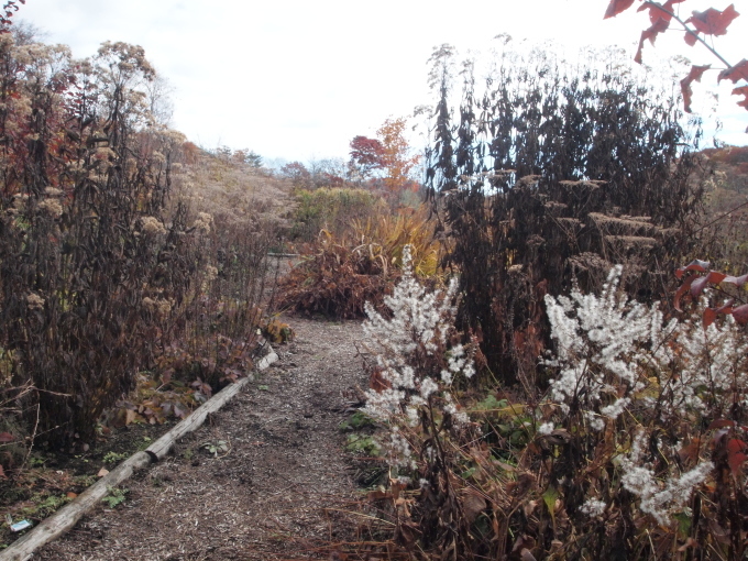 秋のガーデンに出かけよう･･･････群馬 中之条山の上庭園_b0331802_10185804.jpg