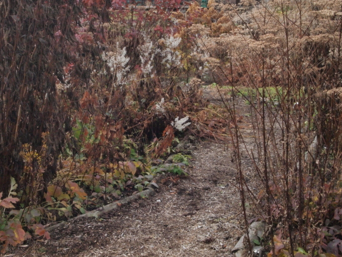 秋のガーデンに出かけよう･･･････群馬 中之条山の上庭園_b0331802_10215790.jpg