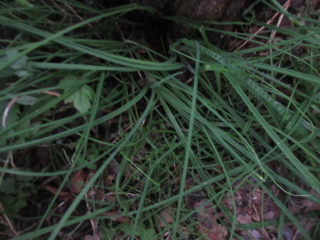a0203003_17163816.jpg