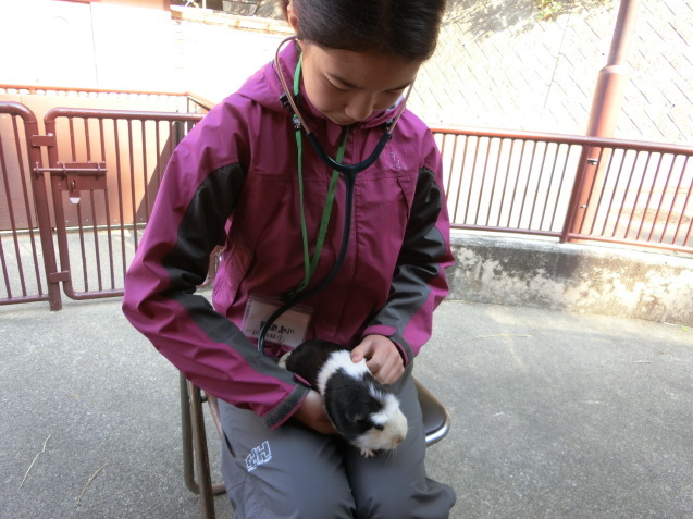 一日獣医師体験を行いました。_c0290504_14570906.jpg