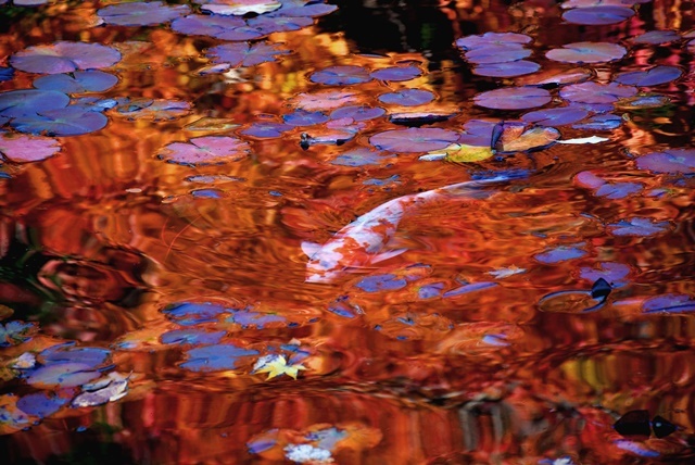 f0361605_20102393.jpg