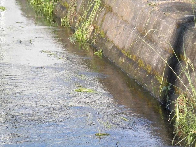 f0141310_08011775.jpg