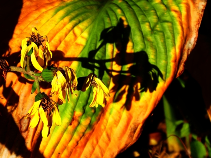 c0062511_21503737.jpg