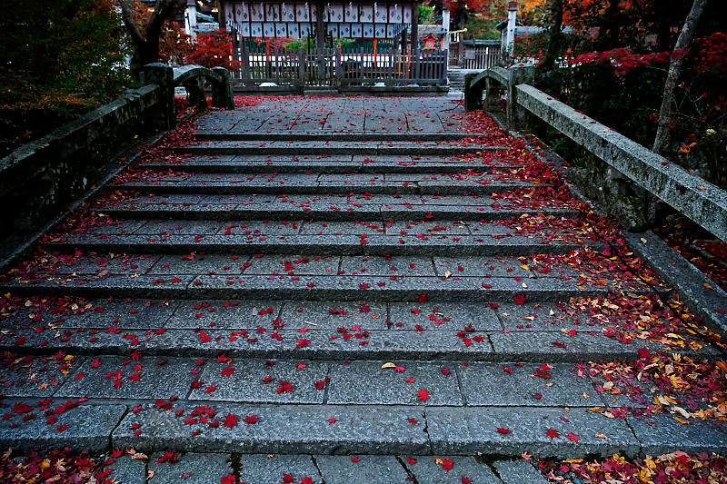 2018京都の紅葉・亀岡 鍬山神社_f0032011_19491580.jpg