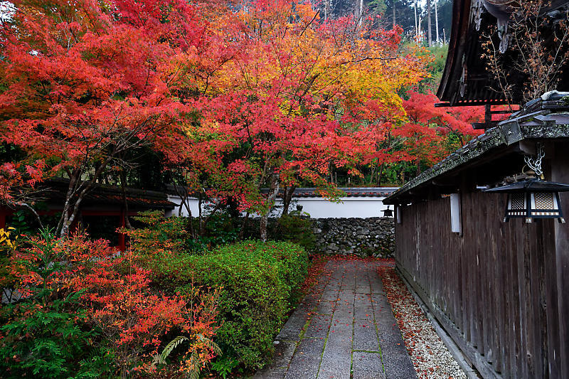 2018京都の紅葉・亀岡 鍬山神社_f0032011_19491600.jpg