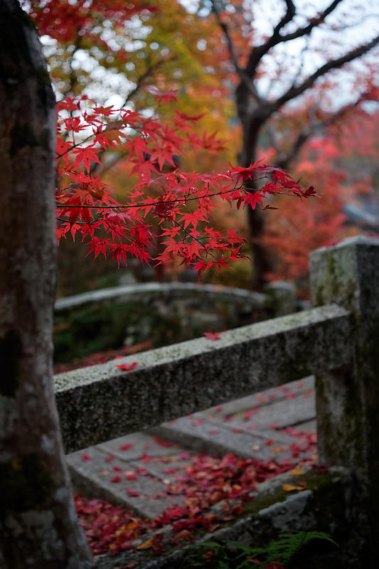 2018京都の紅葉・亀岡 鍬山神社_f0032011_19491623.jpg