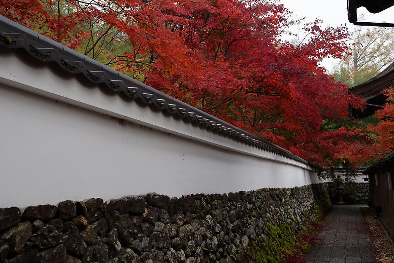 2018京都の紅葉・亀岡 鍬山神社_f0032011_19491697.jpg