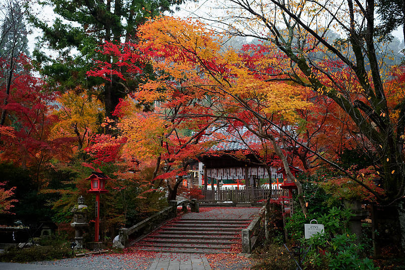 2018京都の紅葉・亀岡 鍬山神社_f0032011_19491734.jpg