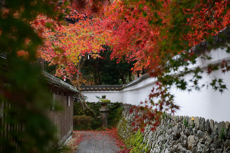 2018京都の紅葉・亀岡 鍬山神社_f0032011_19512794.jpg