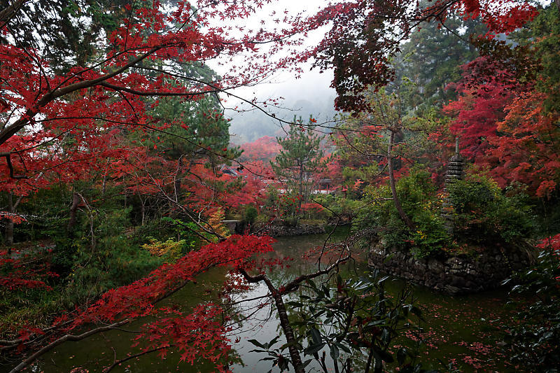 2018京都の紅葉・亀岡 鍬山神社_f0032011_19512896.jpg