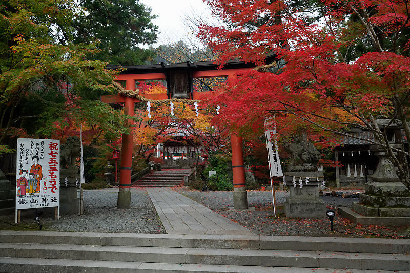 2018京都の紅葉・亀岡 鍬山神社_f0032011_20270375.jpg