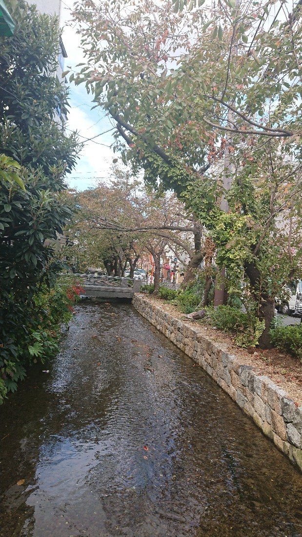 d0326314_21411541.jpg