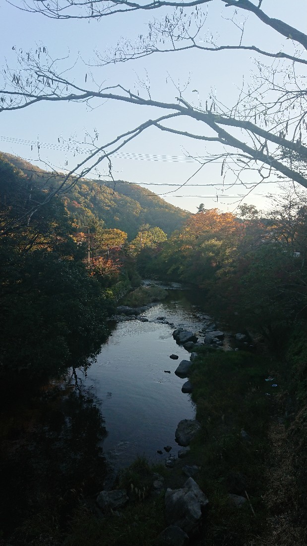 d0326314_22050285.jpg