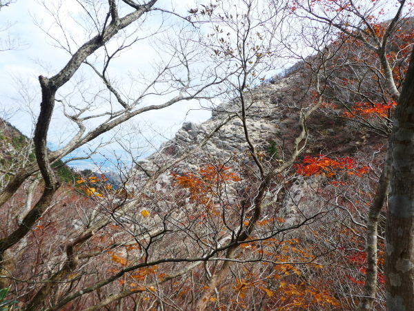 超人気の山　御在所岳から国見岳山頂（1,170M) に登る_d0170615_10180372.jpg