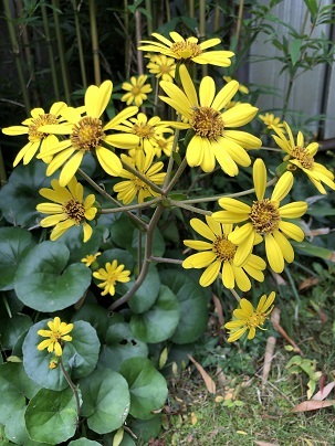 c0046316_21054857.jpg