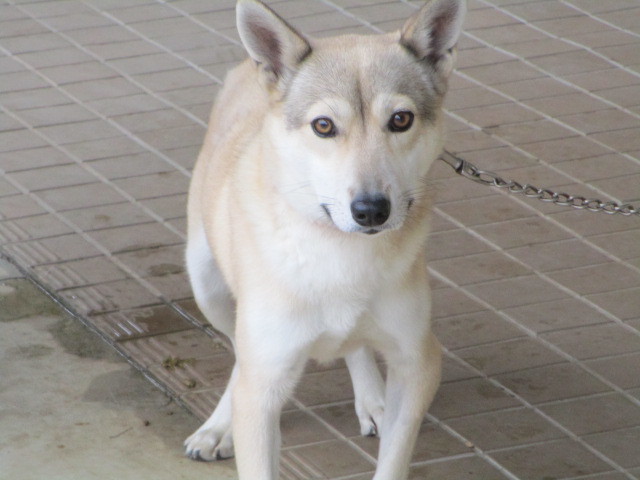 f0078320_01264650.jpg