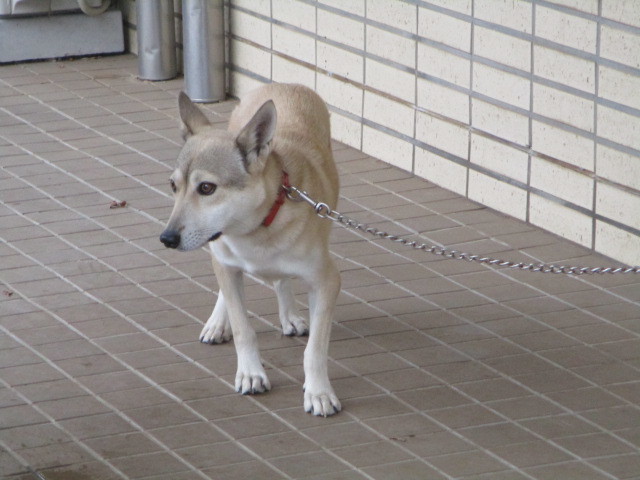 f0078320_01270901.jpg
