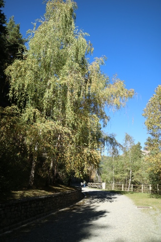 a0252324_17164774.jpg
