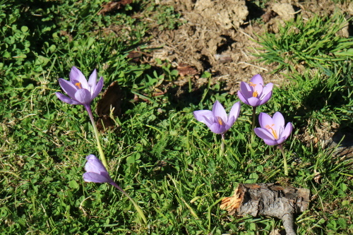 a0252324_17365517.jpg
