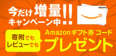 2018年内限定 ふるさと納税で返礼品+10%アマゾンギフト券が貰える自治体_d0262326_05591855.png