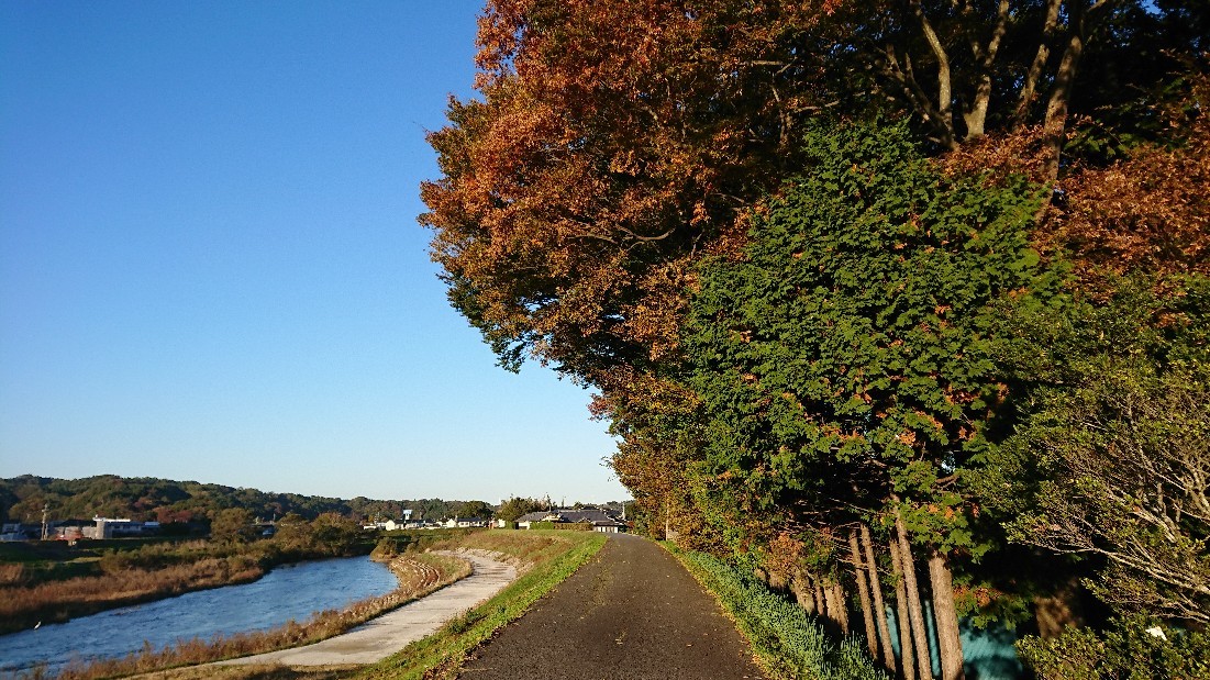e0137130_22324619.jpg