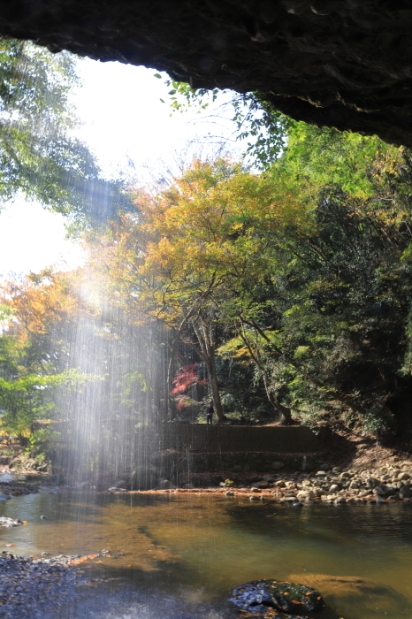 f0348831_23000247.jpg