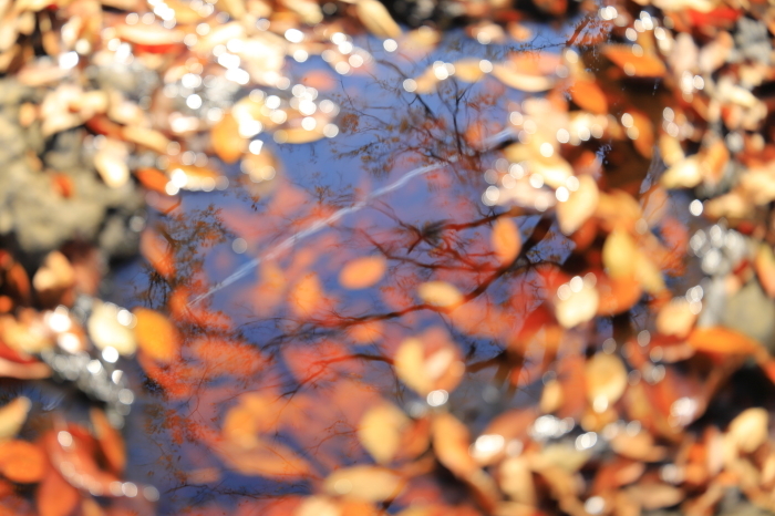 f0348831_23001732.jpg
