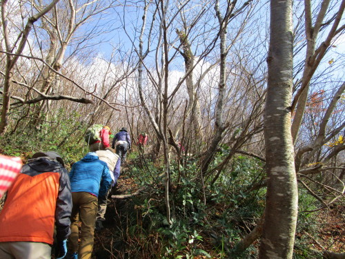 11月登山・矢筈ケ山（やはずがせん）②_a0345833_22240731.jpg