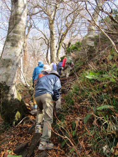 11月登山・矢筈ケ山（やはずがせん）②_a0345833_22250873.jpg