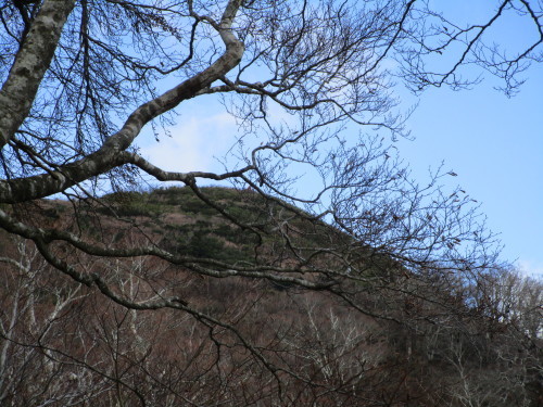 11月登山・矢筈ケ山（やはずがせん）②_a0345833_22261350.jpg