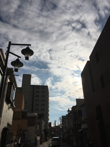 f0327534_08472944.jpg
