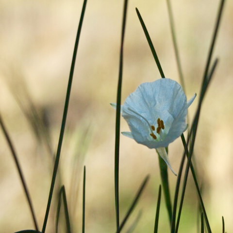 a0329935_11060538.jpeg
